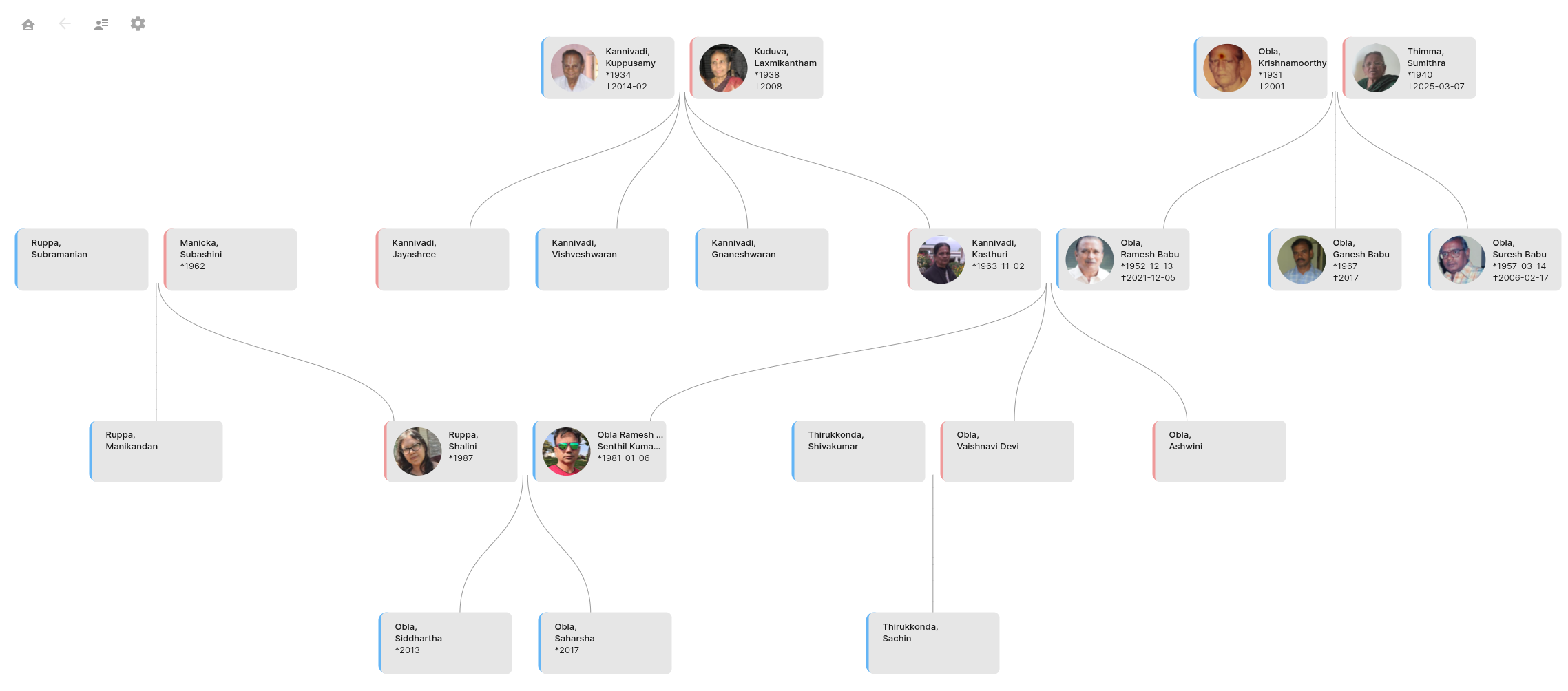 Family Tree Website Interface
